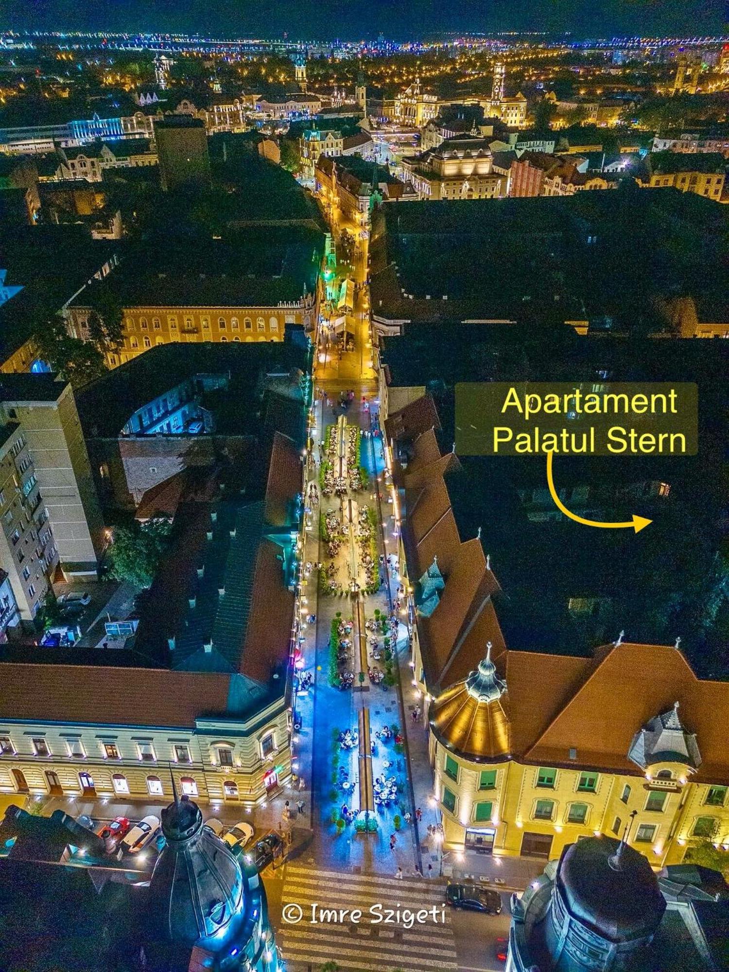 Palatul Stern Apartment *